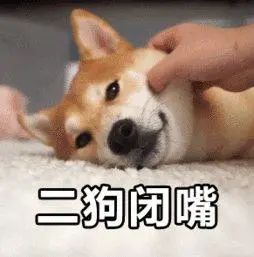 微信图片_20230517181000.jpg